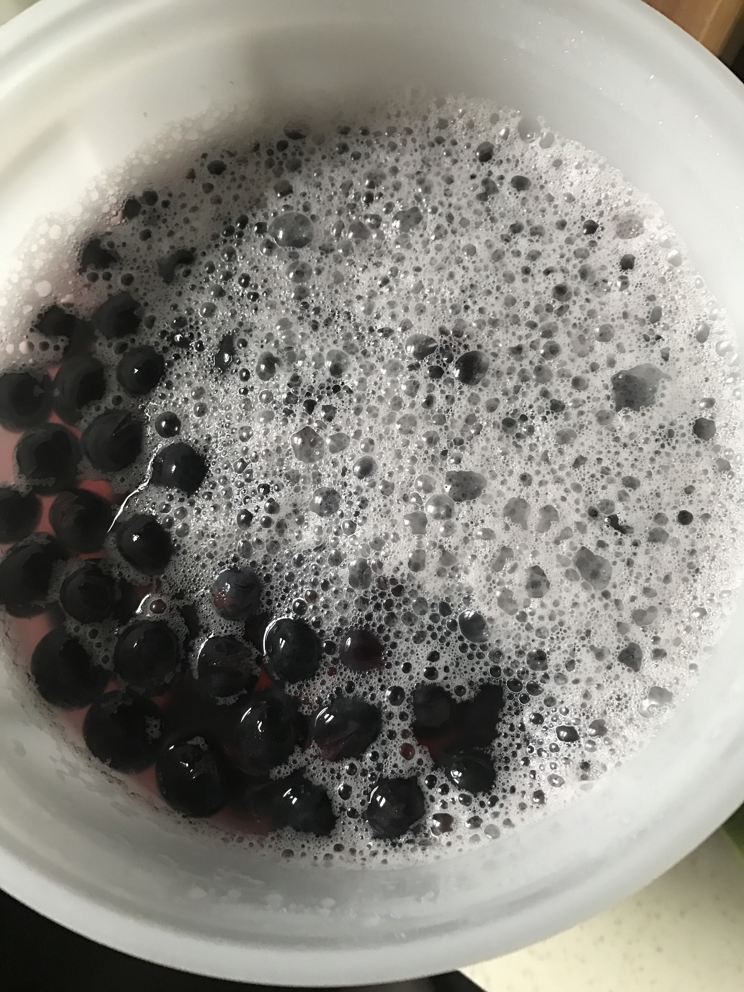 黑葡萄鲜酿酵素的做法 步骤7
