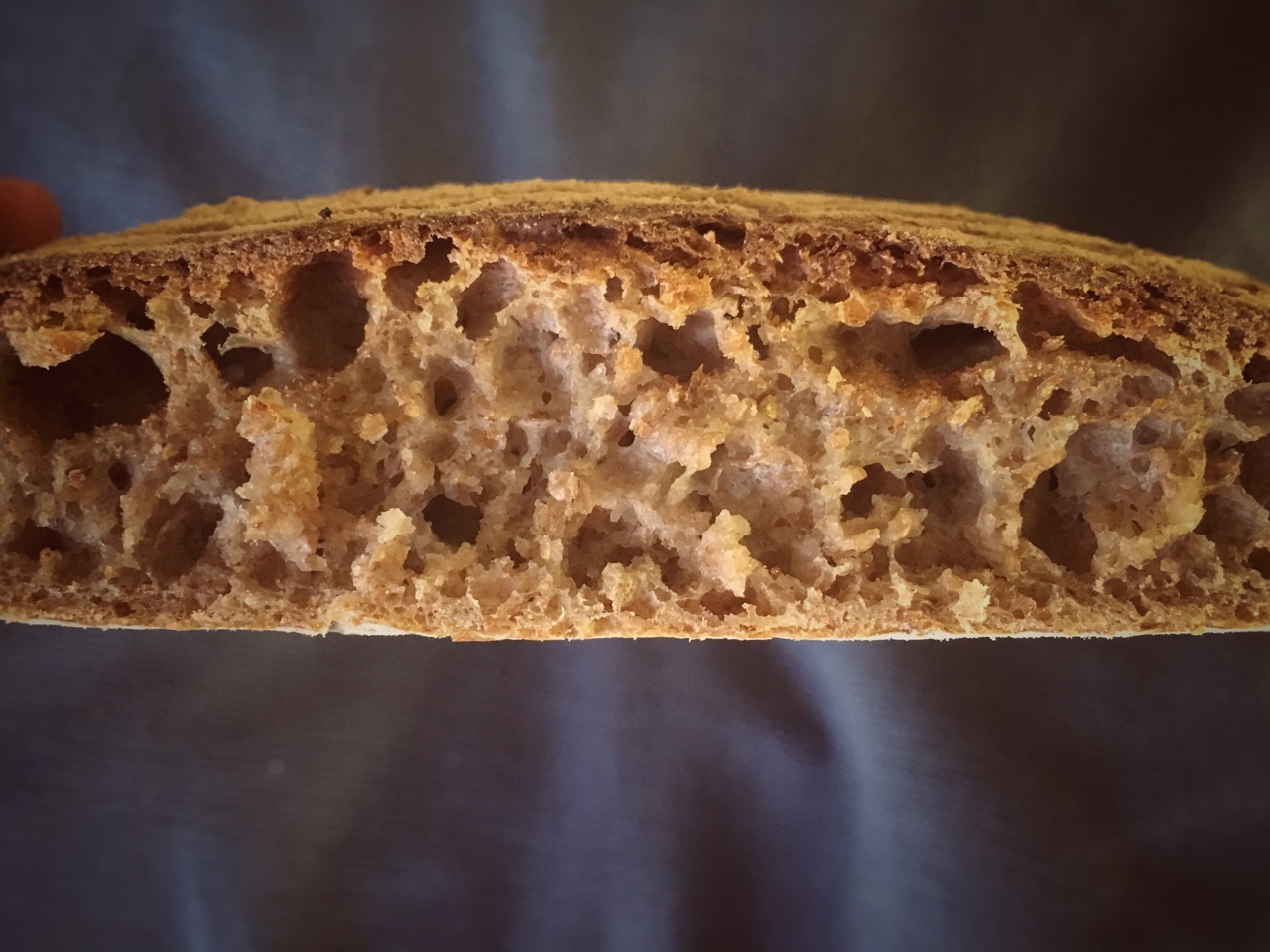【Tartine Bread】天然酵种基础全麦欧包