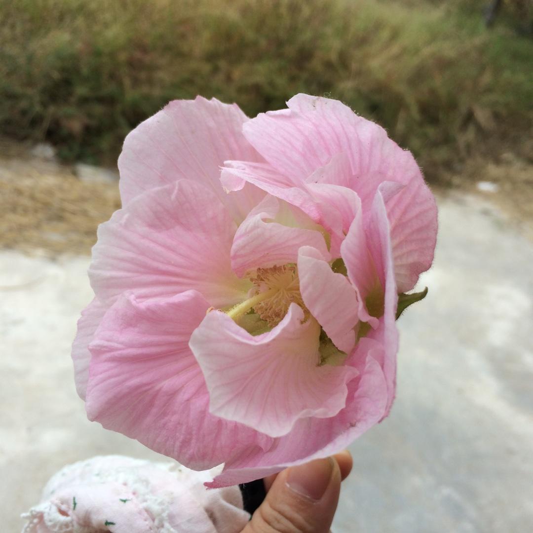 怎一个吃字了得