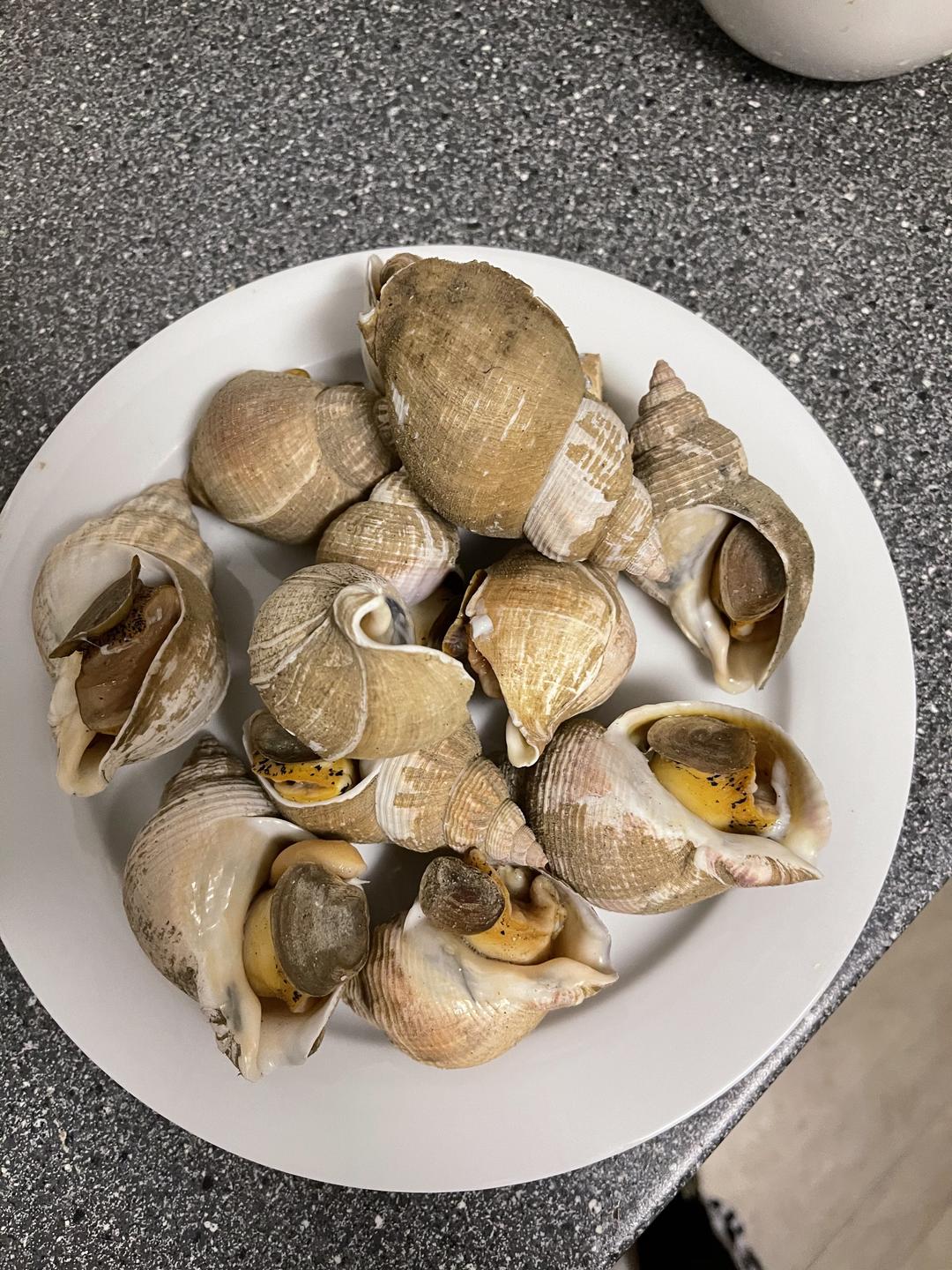 5勺芥末少许白灼海螺的做法水中加入2勺料酒,浸泡3小时清洗后水煮