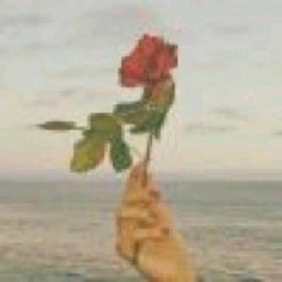 小谭同学的炊事员