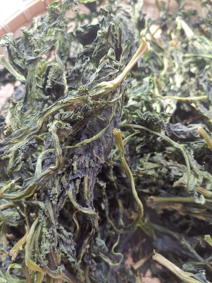 自晒油菜苔干