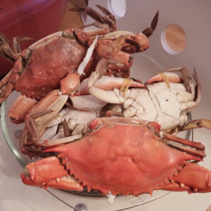 清蒸梭子蟹