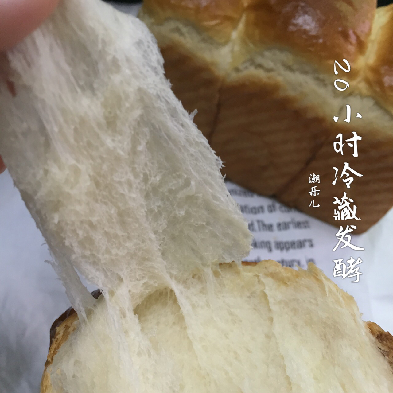 【北海道吐司】体验经典-妃娟100%中种，冷藏冰种的美味