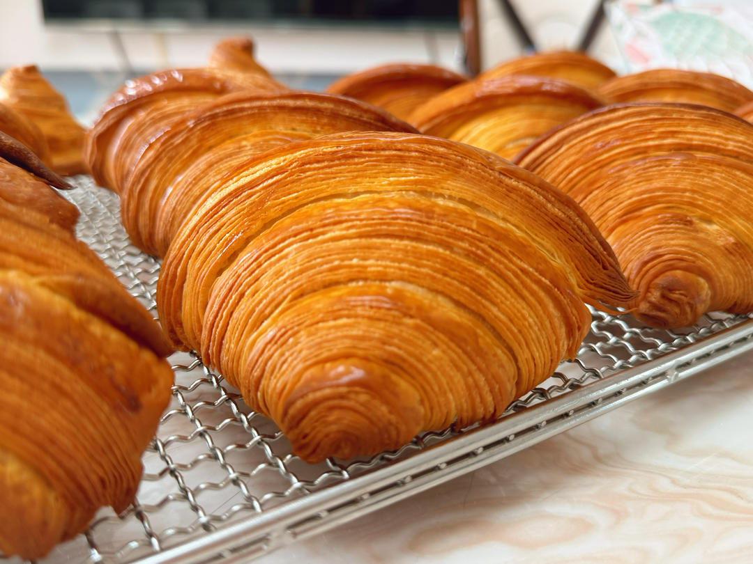 基础可颂练习（24.12备忘）