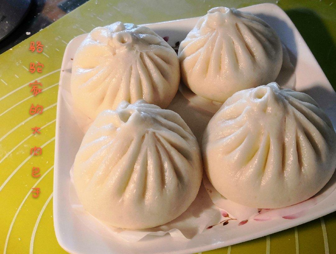 详解鲜肉大包做法。