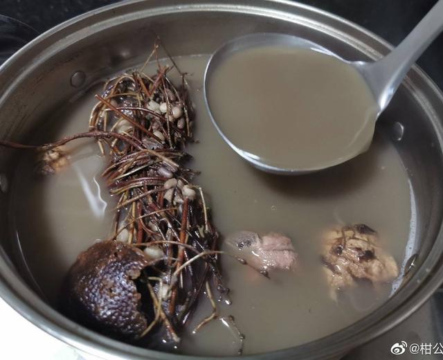 清肝热祛湿汤