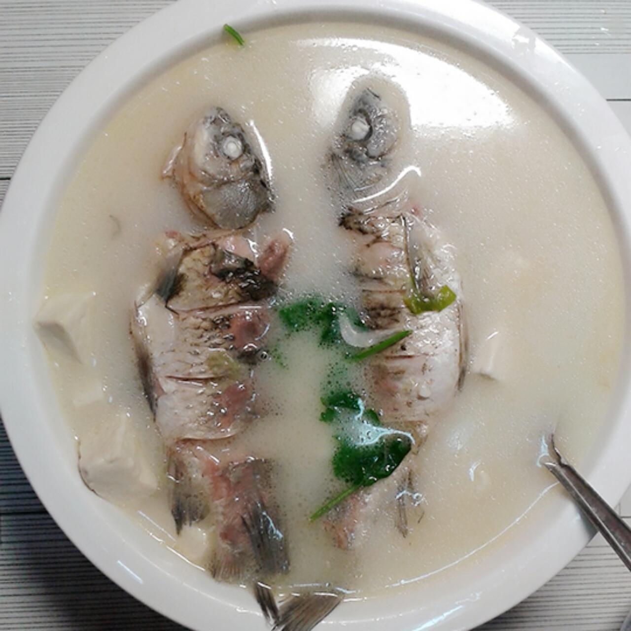 （白汤）鲫鱼炖豆腐的做法