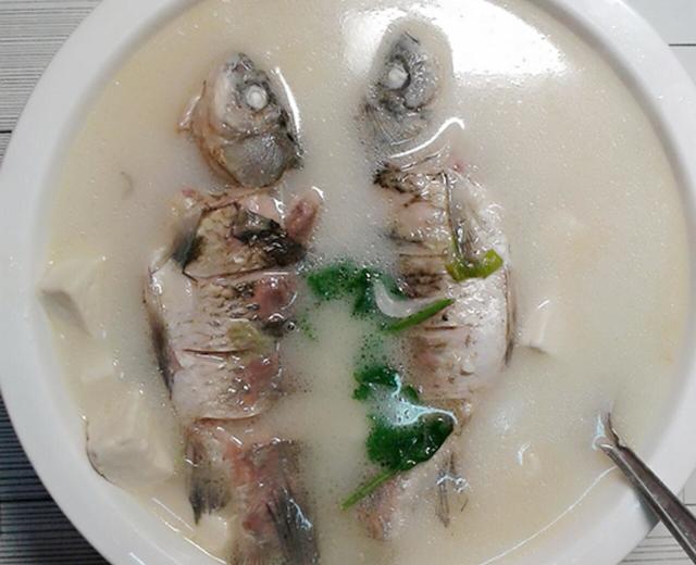 （白汤）鲫鱼炖豆腐的做法