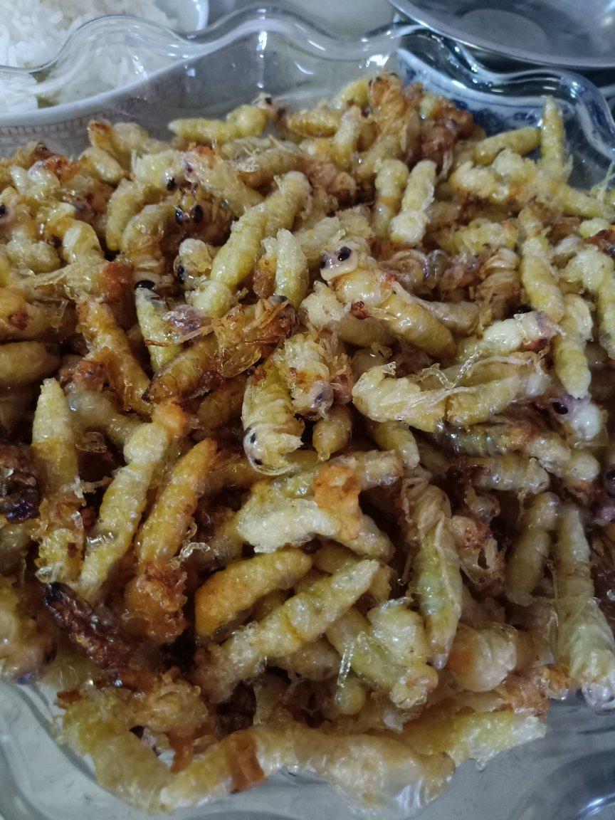 柠檬不酸-22做的油炸蜂虫