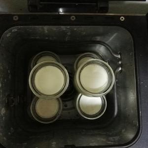 面包机酸奶的做法 步骤3