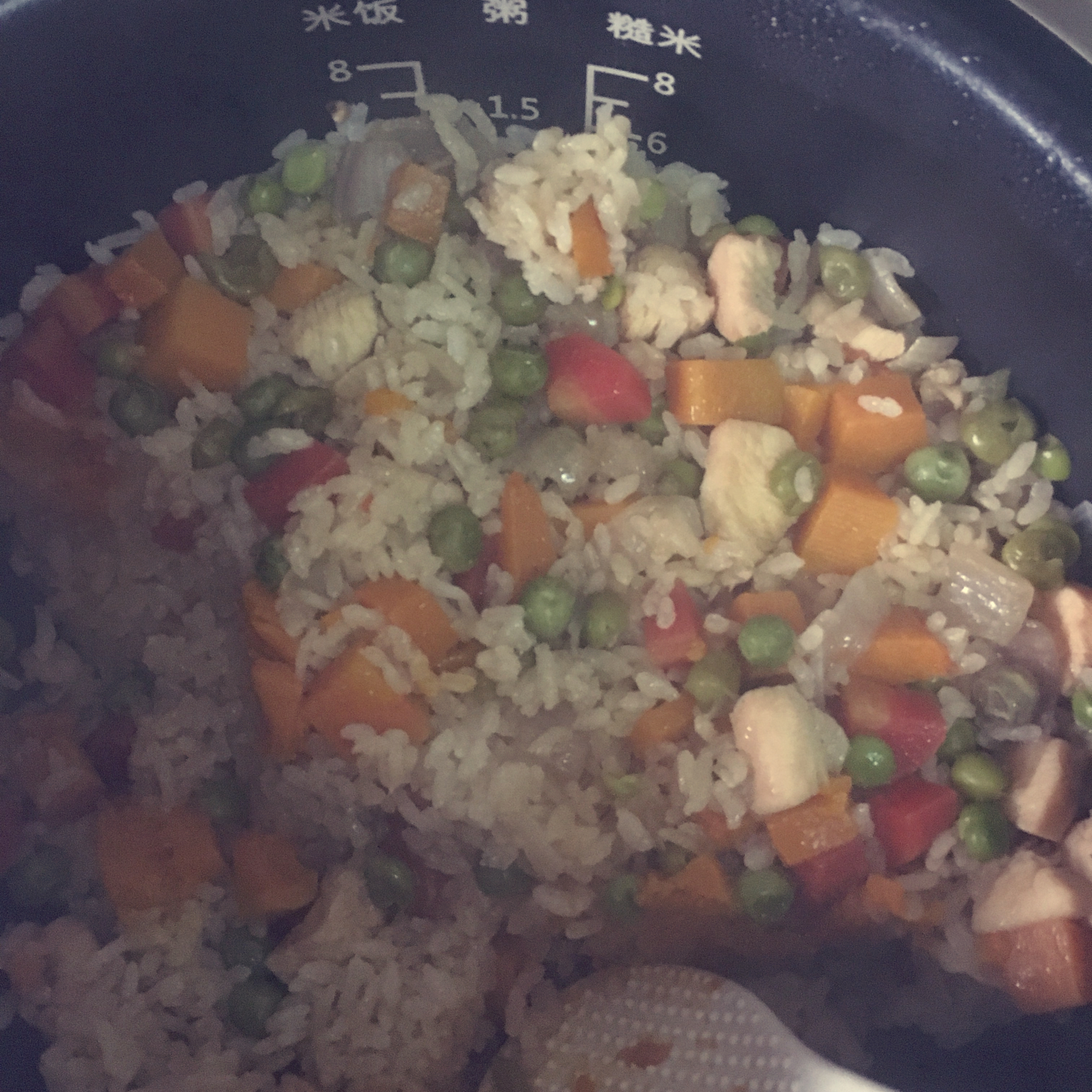 南瓜鸡肉焖饭