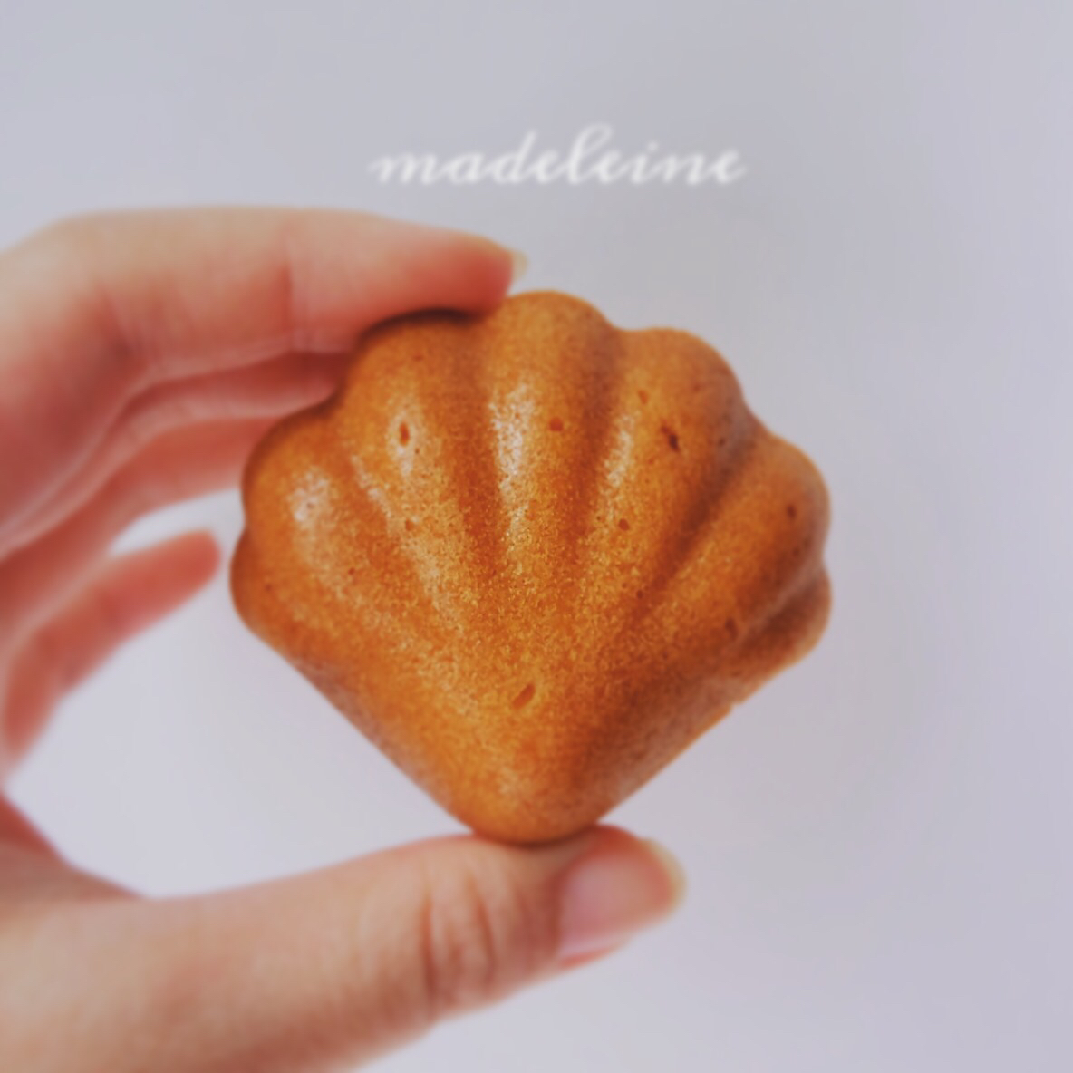 原味玛德琳