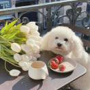 手机用户3030_0xq7