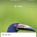 珂译