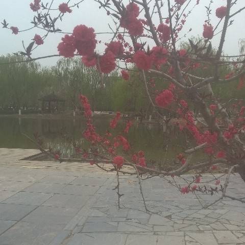 媛媛妈妈123