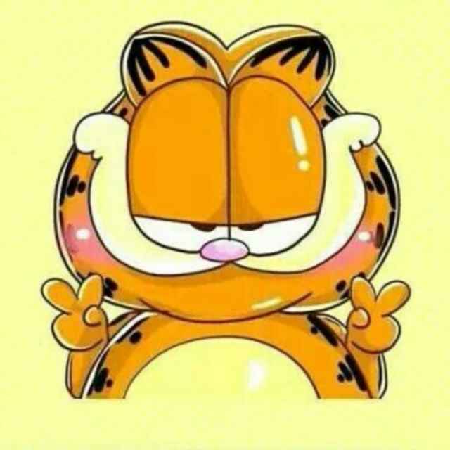 加肥 猫