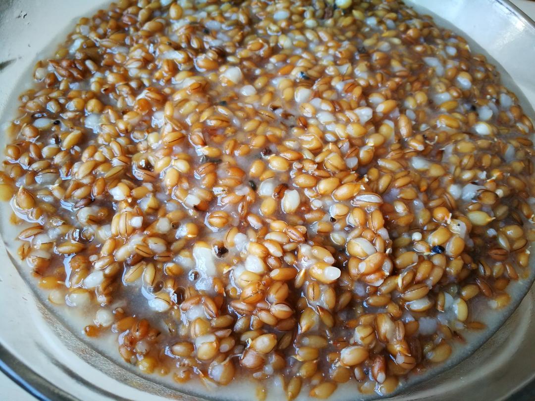 堂很恬做的【健康三餐】发芽小麦饭