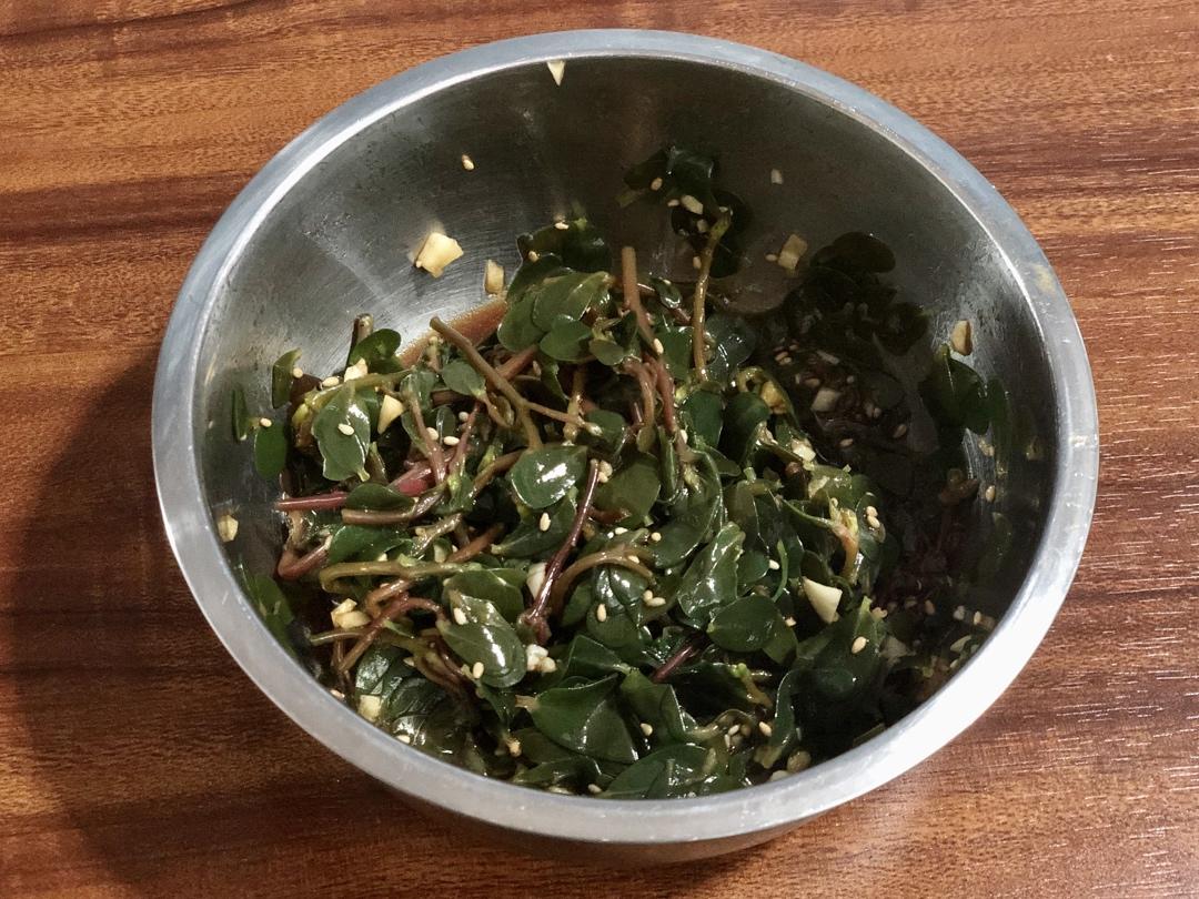 凉拌马马菜（凉拌马齿苋）