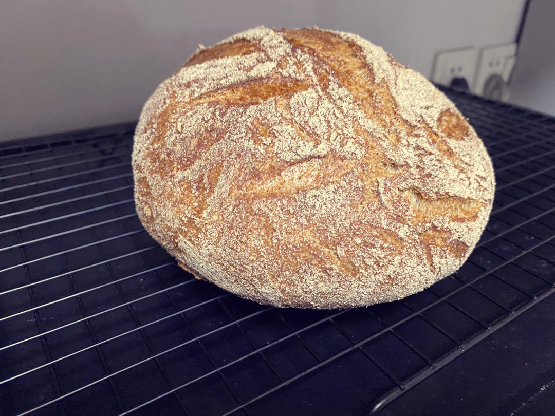 基础乡村面包「普通酵母版」