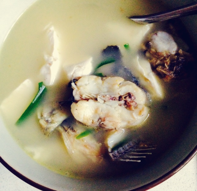 黄刺鱼炖豆腐