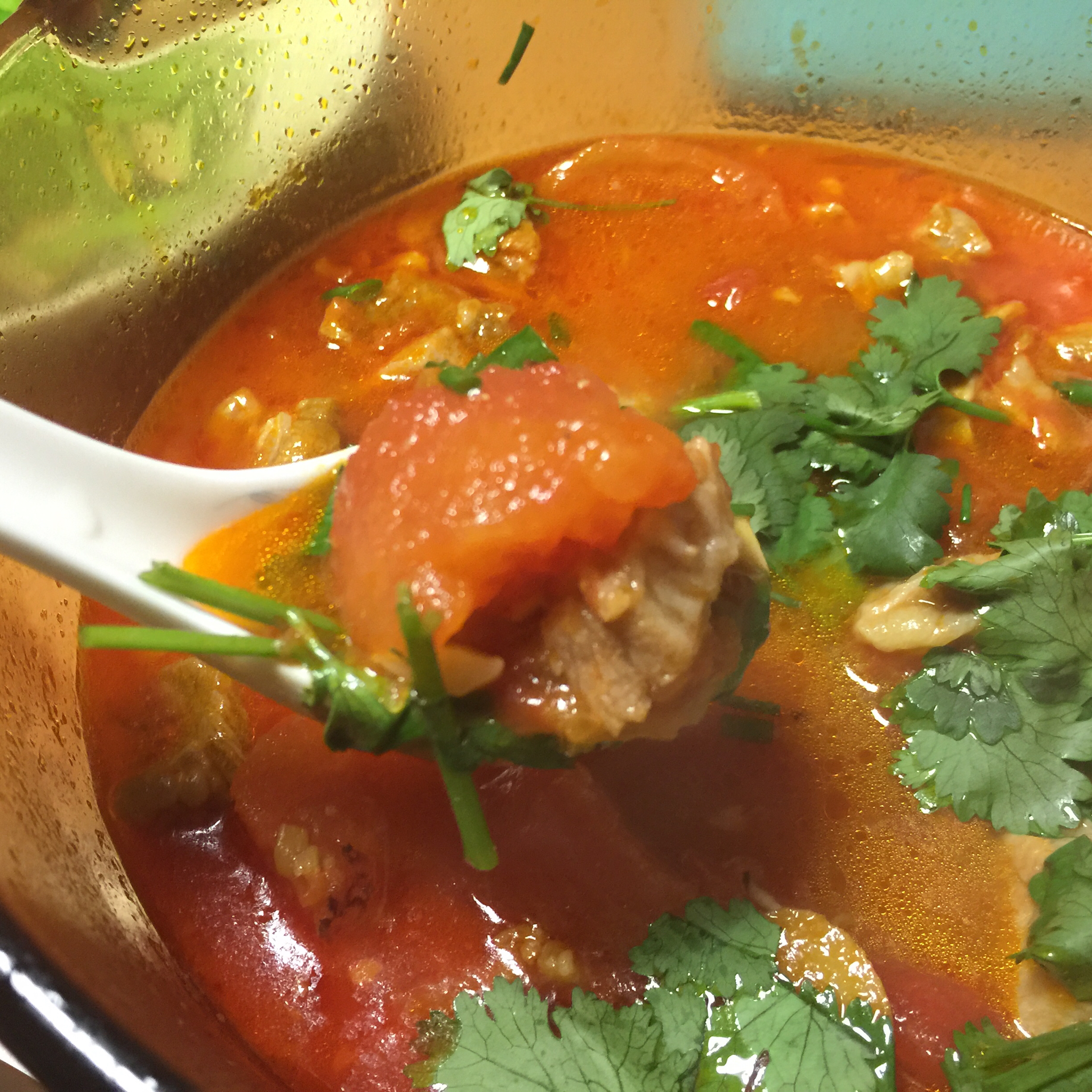 老丁的私房菜-番茄牛腩煲