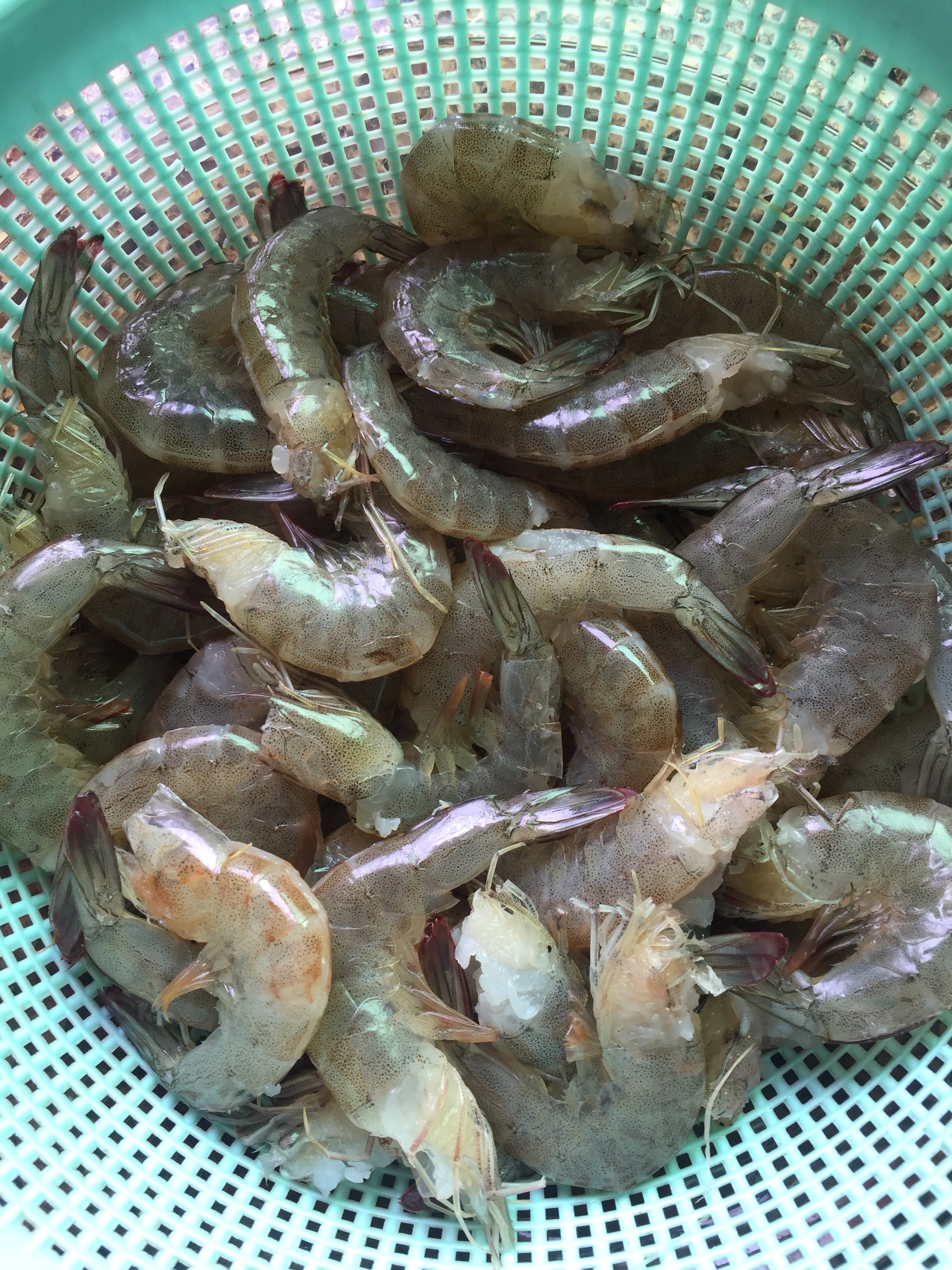 罗勒蒜蓉焖虾的做法 步骤1