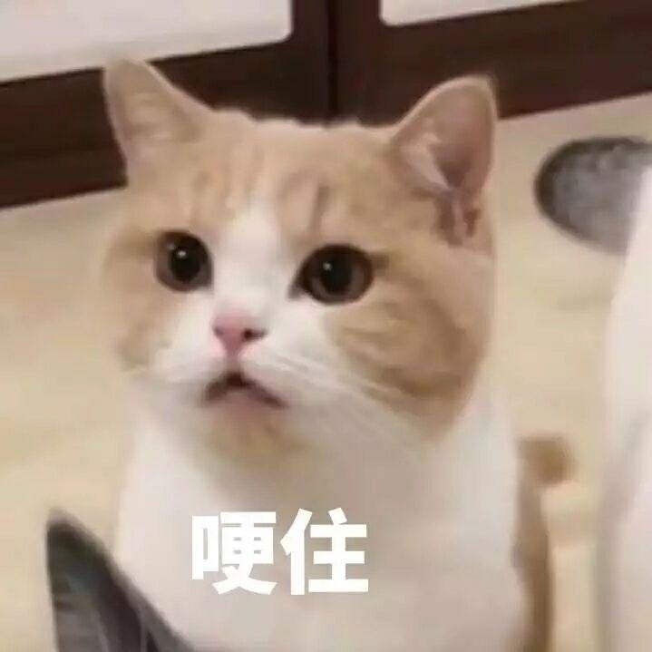 甜兒er