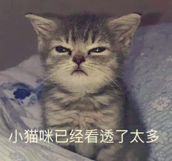玉吉yuya