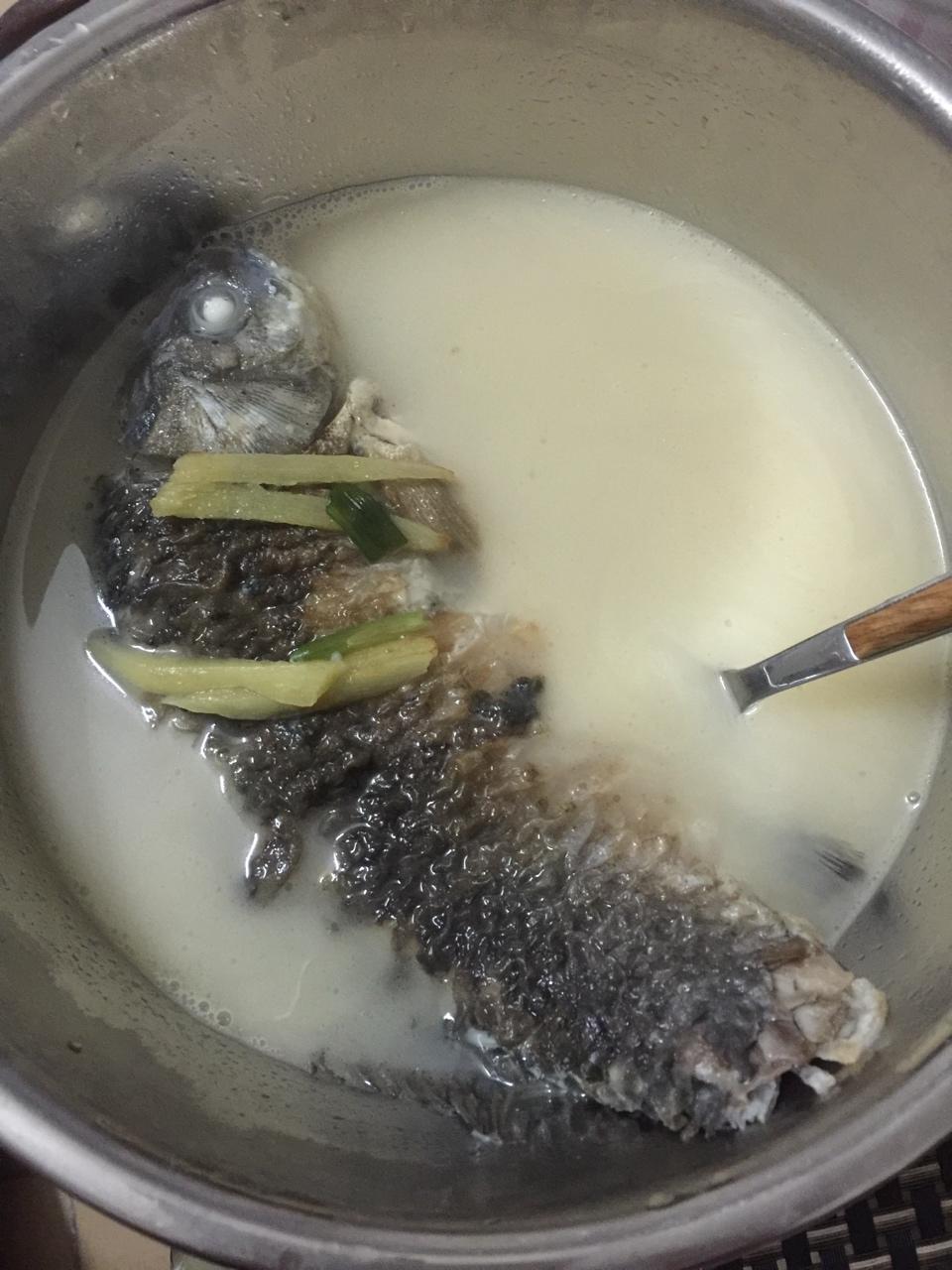 bubu娟bao做的鲫鱼汤