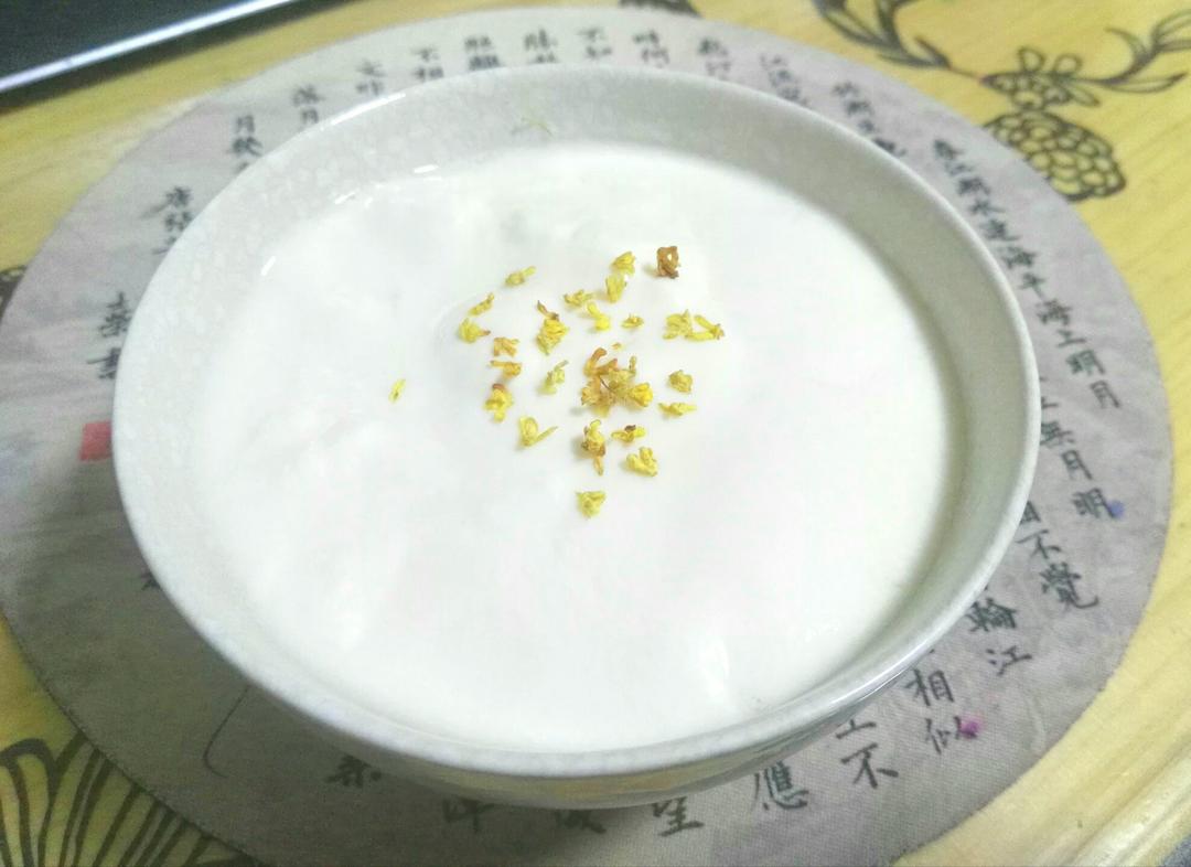 美的面包机做美味酸奶