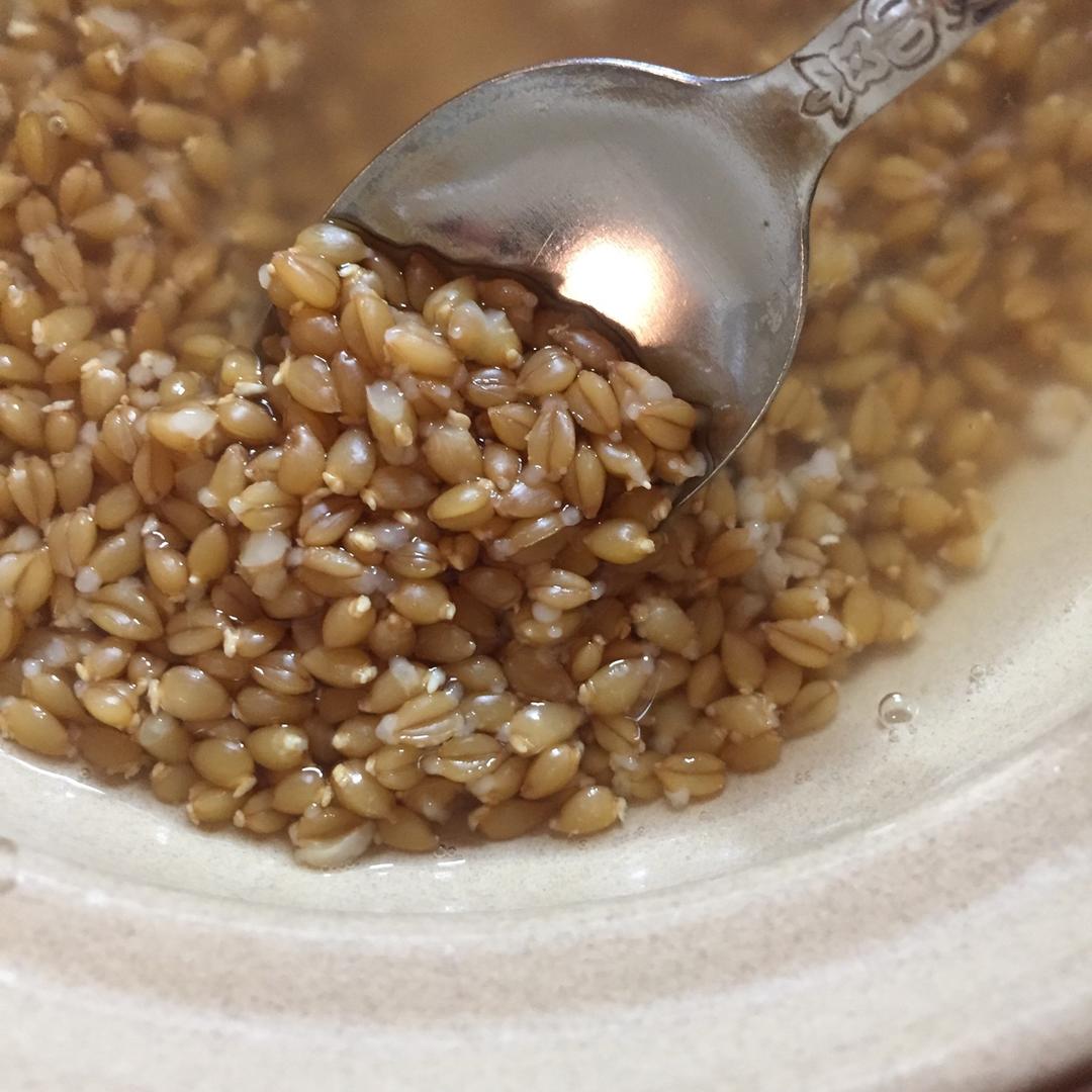 【健康三餐】发芽小麦饭