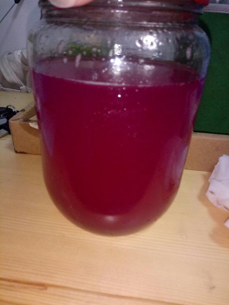 火龙果酵素