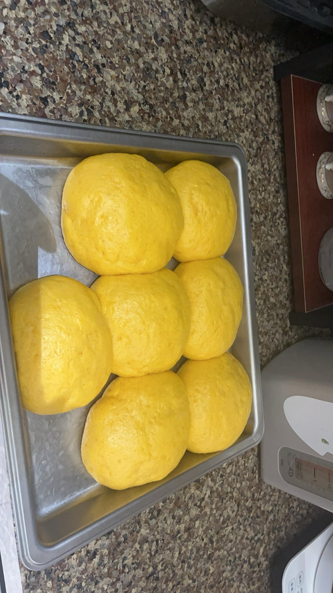 南瓜馒头（一次发酵）