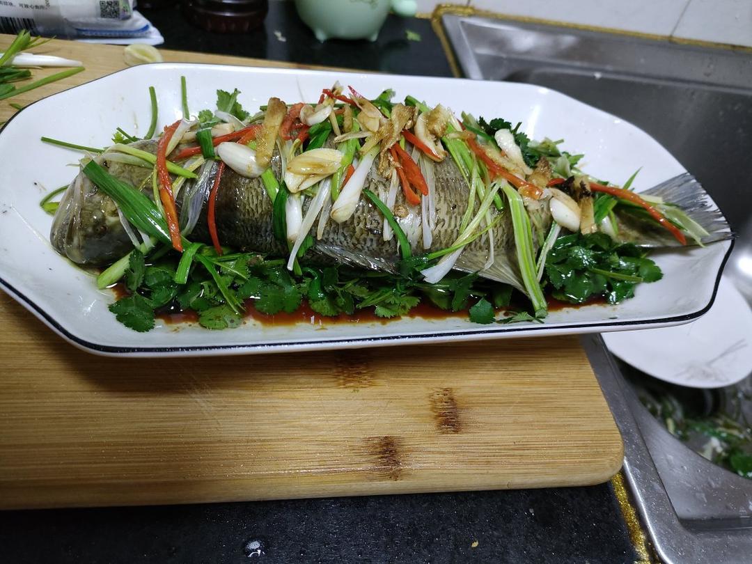 清蒸鲈鱼（桂鱼 鸦片鱼 石斑鱼一点也不腥，四步轻松搞定 ）