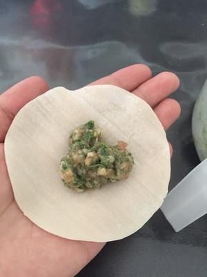 芹菜水饺的做法 步骤5