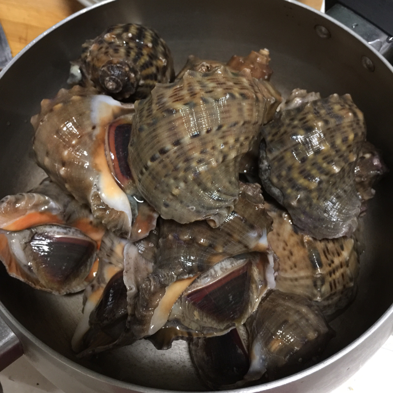 寒雀喧喧满竹枝做的水煮海螺