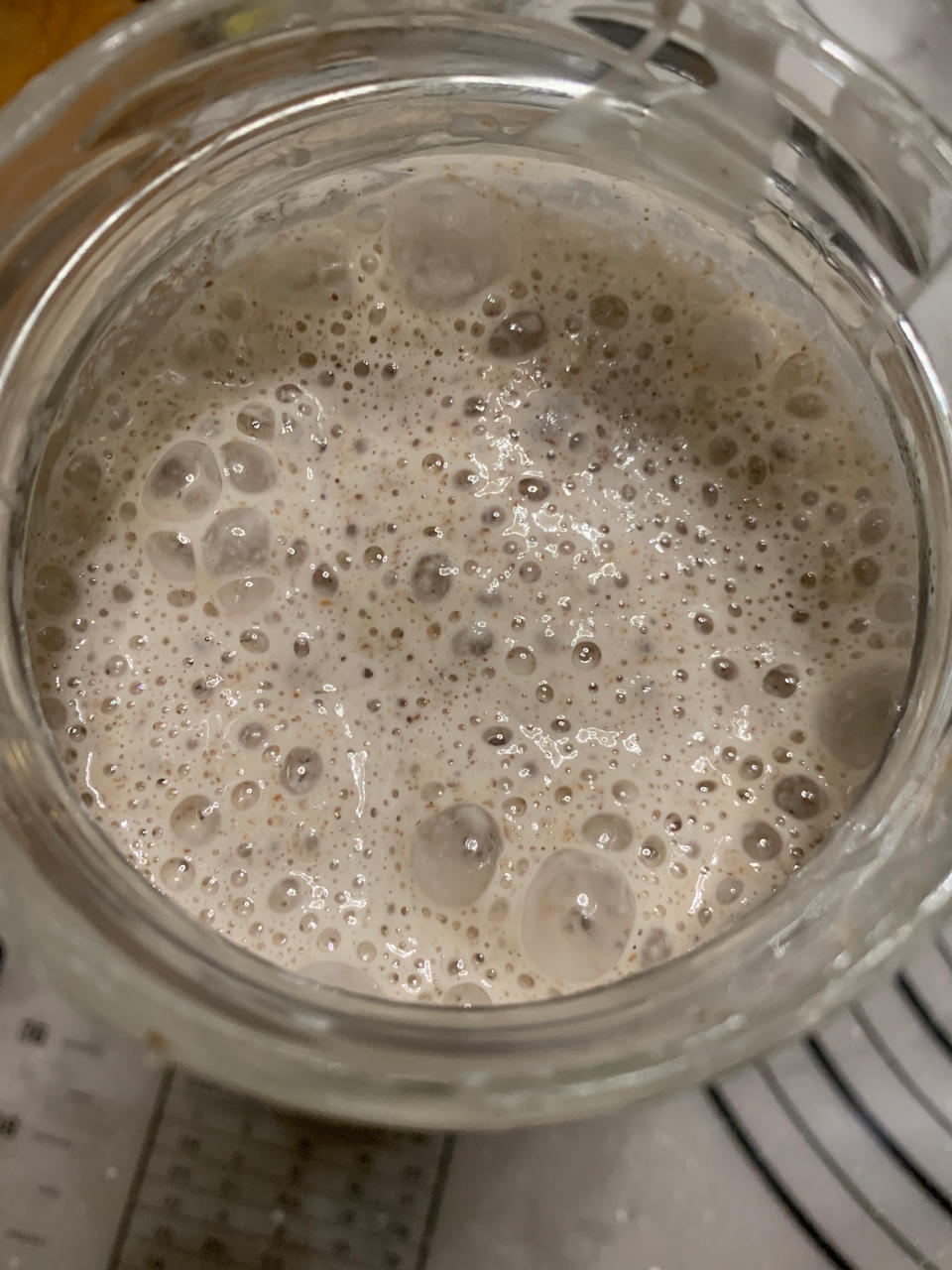 液态鲁邦种/天然酵母/酵种，液态种和硬种转换教程