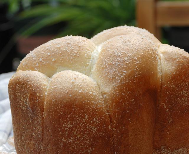 椰蓉麻花辫子面包（柏翠 PE8500W面包机）的做法
