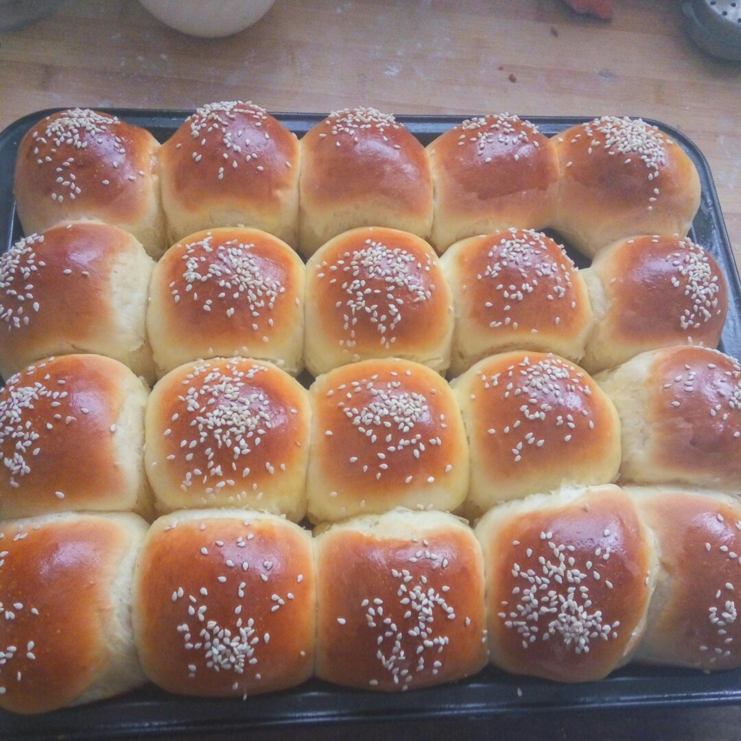 鲜奶油小餐包（一次发酵）