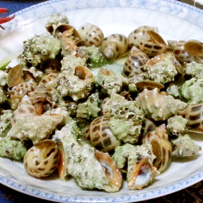 且煮且珍惜做的白灼苦螺