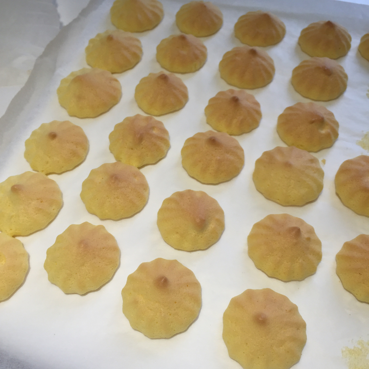 酥脆蛋香小饼干