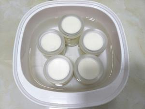 自制酸奶（超级简单）的做法 步骤6