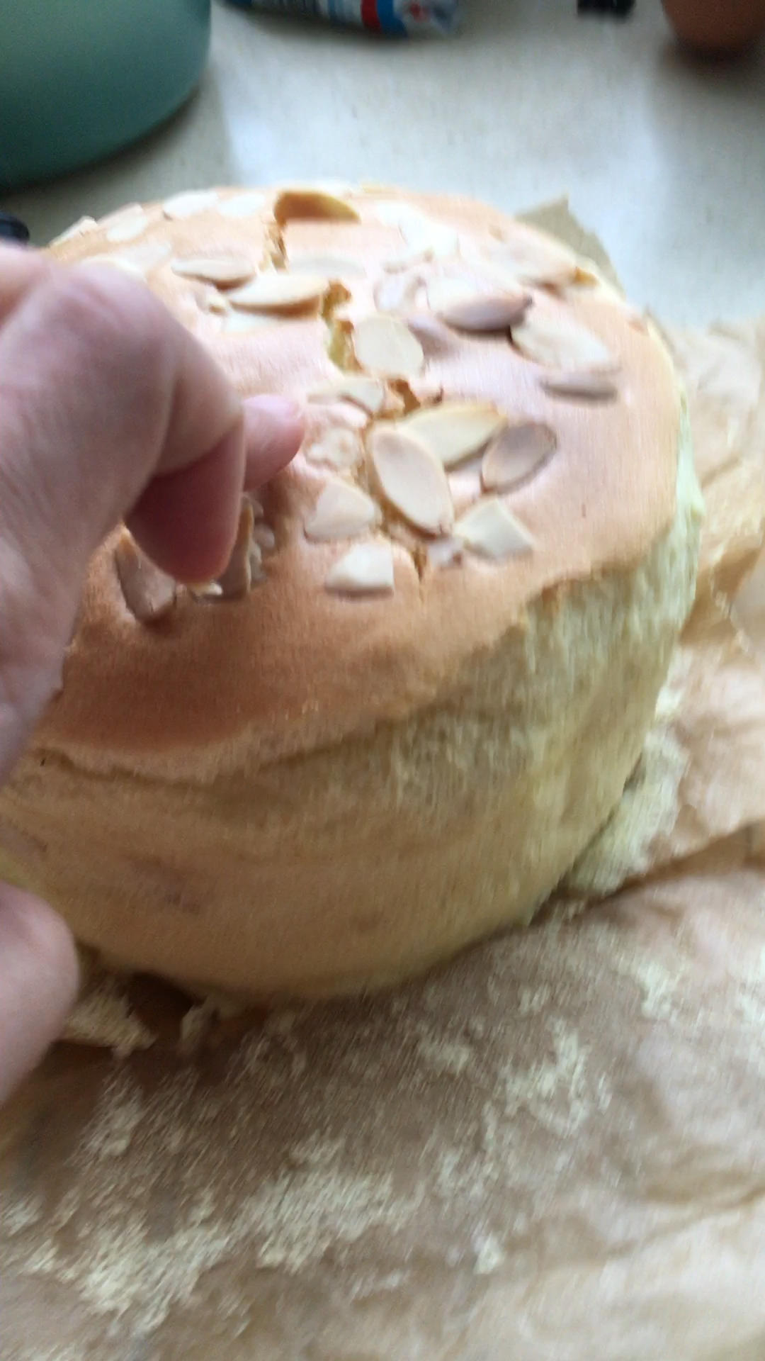 堪比柯基屁股
爆浆芝士🧀古早蛋糕