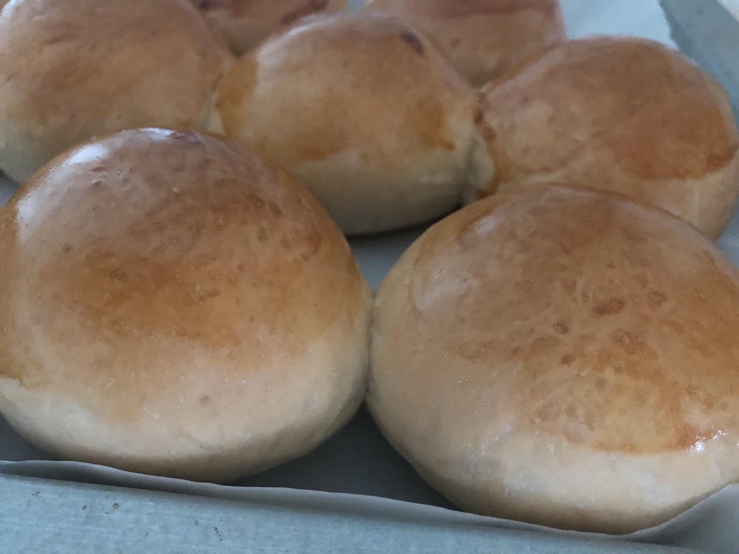 爆松软的鲜奶小面包（一次发酵易出膜）
