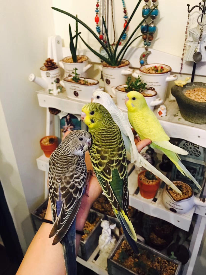 镜头之下，光影之间~