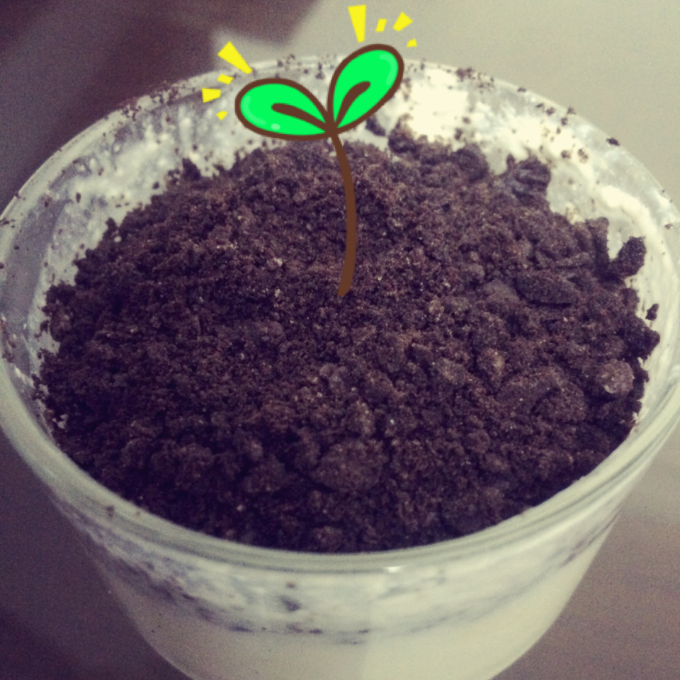 酸奶盆栽/继续延续小清新风/治愈系甜品