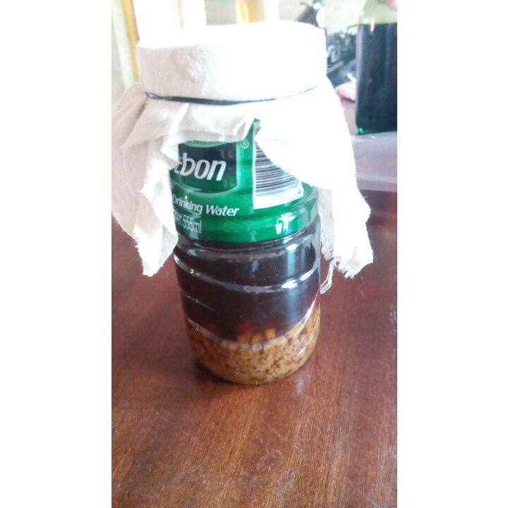 水开菲尔汽水丨喂养篇