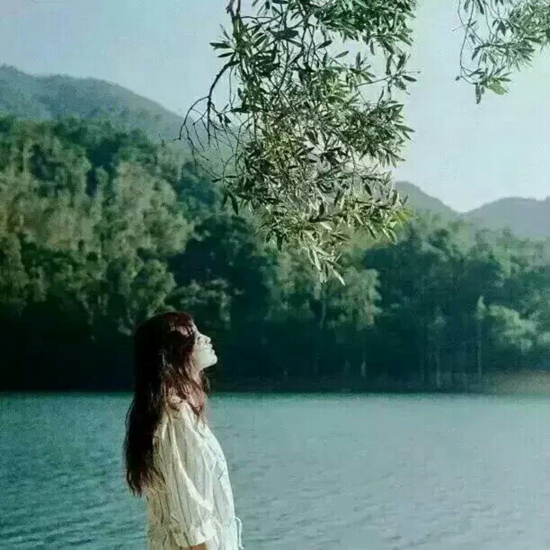 手机用户1571_6b4y