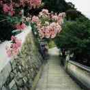 手機(jī)用戶(hù)0516_yg0m